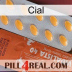 Cial 43